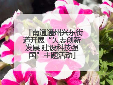南通通州兴东街道开展“矢志创新发展 建设科技强国”主题活动