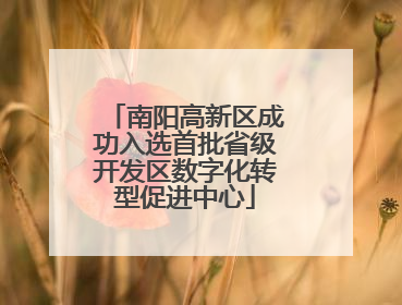 南阳高新区成功入选首批省级开发区数字化转型促进中心