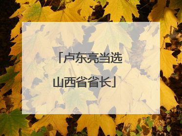 卢东亮当选山西省省长
