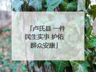 卢氏县 一件民生实事 护佑群众安康