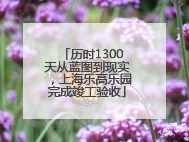 历时1300天从蓝图到现实，上海乐高乐园完成竣工验收
