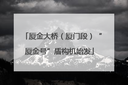 厦金大桥（厦门段）“厦金号”盾构机始发