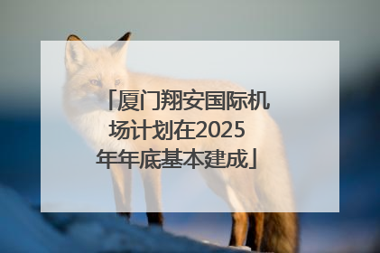 厦门翔安国际机场计划在2025年年底基本建成