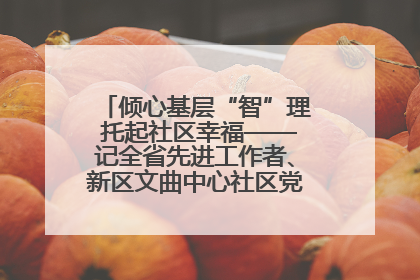倾心基层“智”理 托起社区幸福——记全省先进工作者、新区文曲中心社区党委书记董世弘