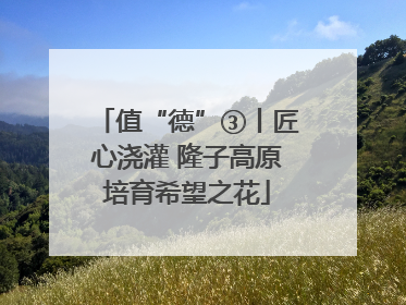 值“德”③丨匠心浇灌 隆子高原培育希望之花
