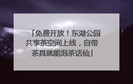 免费开放！东湖公园共享茶空间上线，自带茶具就能泡茶话仙