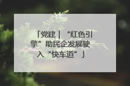 党建｜“红色引擎”助民企发展驶入“快车道”
