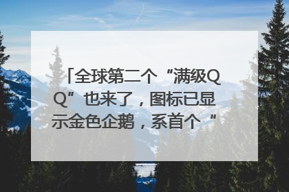 全球第二个“满级QQ”也来了，图标已显示金色企鹅，系首个“满级QQ”的小号