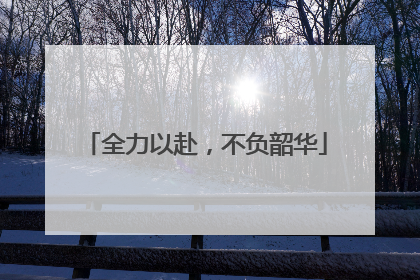 全力以赴，不负韶华