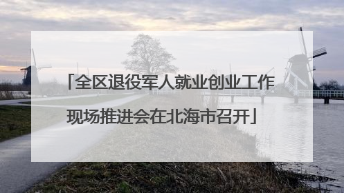 全区退役军人就业创业工作现场推进会在北海市召开