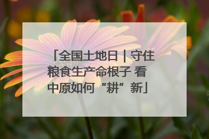 全国土地日｜守住粮食生产命根子 看中原如何“耕”新