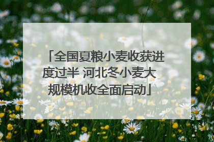 全国夏粮小麦收获进度过半 河北冬小麦大规模机收全面启动