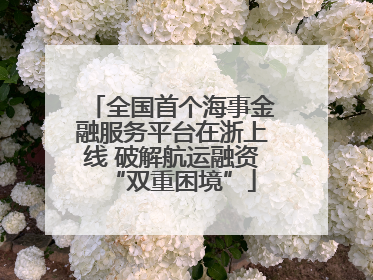 全国首个海事金融服务平台在浙上线 破解航运融资“双重困境”
