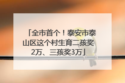 全市首个！泰安市泰山区这个村生育二孩奖2万、三孩奖3万