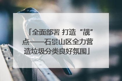 全面部署 打造“靓” 点——石景山区全力营造垃圾分类良好氛围