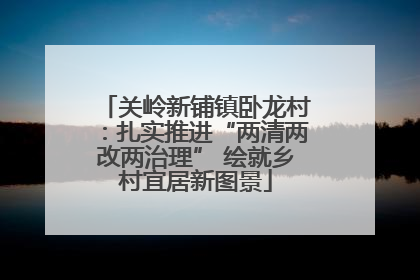 关岭新铺镇卧龙村：扎实推进“两清两改两治理” 绘就乡村宜居新图景