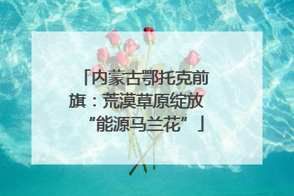 内蒙古鄂托克前旗：荒漠草原绽放“能源马兰花”