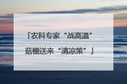 农科专家“战高温” 菇棚送来“清凉策”