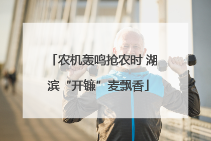 农机轰鸣抢农时 湖滨“开镰”麦飘香