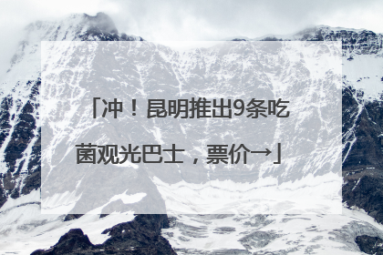 冲！昆明推出9条吃菌观光巴士，票价→
