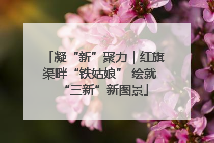 凝“新”聚力｜红旗渠畔“铁姑娘” 绘就“三新”新图景