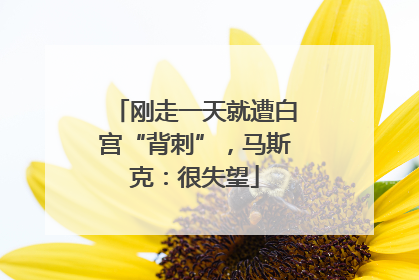 刚走一天就遭白宫“背刺”，马斯克：很失望