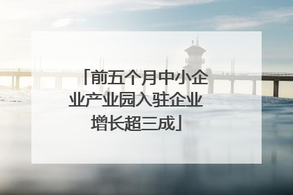 前五个月中小企业产业园入驻企业增长超三成