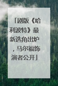 剧版《哈利波特》最新选角出炉，马尔福饰演者公开