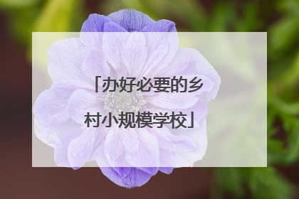 办好必要的乡村小规模学校