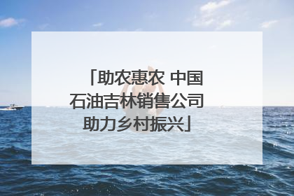 助农惠农 中国石油吉林销售公司助力乡村振兴