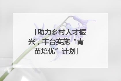 助力乡村人才振兴，丰台实施“青苗培优”计划