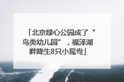 北京绿心公园成了“鸟类幼儿园”，福泽湖畔降生8只小鸳鸯