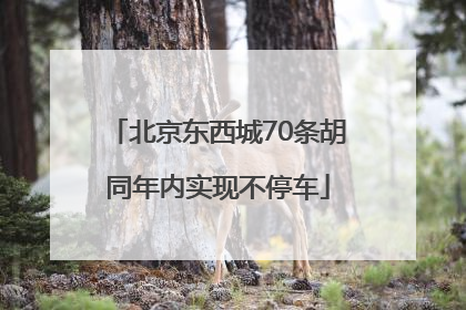 北京东西城70条胡同年内实现不停车