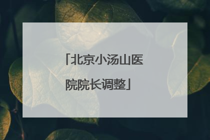 北京小汤山医院院长调整