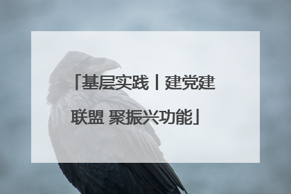 基层实践丨建党建联盟 聚振兴功能