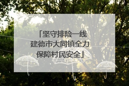 坚守排险一线 建德市大同镇全力保障村民安全