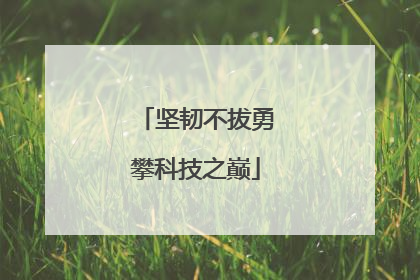 坚韧不拔勇攀科技之巅