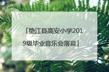 垫江县高安小学2019级毕业音乐会落幕