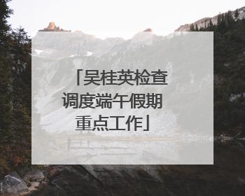 吴桂英检查调度端午假期重点工作