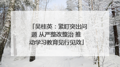 吴桂英：紧盯突出问题 从严整改整治 推动学习教育见行见效