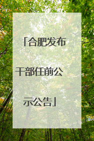 合肥发布干部任前公示公告