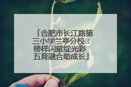 合肥市长江路第三小学兰亭分校：榜样闪耀绽光彩 五育融合助成长