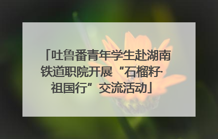 吐鲁番青年学生赴湖南铁道职院开展“石榴籽·祖国行”交流活动