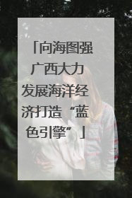 向海图强 广西大力发展海洋经济打造“蓝色引擎”