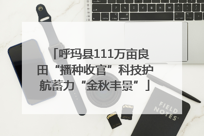 呼玛县111万亩良田“播种收官”科技护航蓄力“金秋丰景”