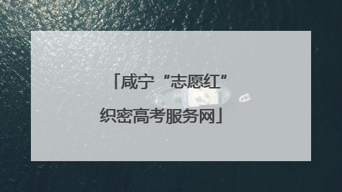咸宁“志愿红”织密高考服务网
