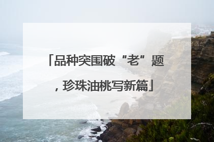 品种突围破“老”题，珍珠油桃写新篇