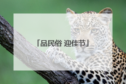 品民俗 迎佳节