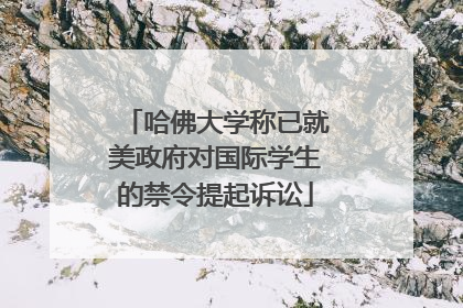哈佛大学称已就美政府对国际学生的禁令提起诉讼