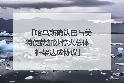 哈马斯确认已与美特使就加沙停火总体框架达成协议